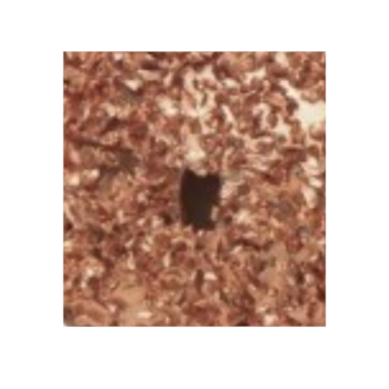 CARBIDE 007 G.36 - T03.00.48 TREIZ O CARBIDE 007 G.36 - T03.00.48 TREIZ O