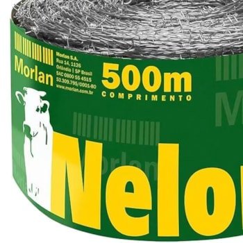 CORDOALHA NELORE ZN3 500M - 100809 MORLAN