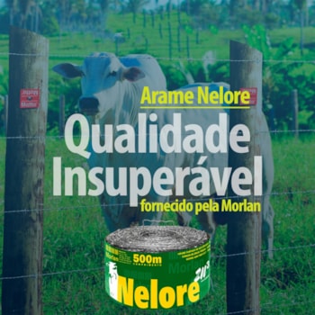 CORDOALHA NELORE ZN3 500M - 100809 MORLAN CORDOALHA NELORE ZN3 500M - 100809 MORLAN