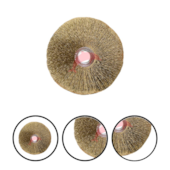 ESCOVA LATONADA AÇO 1/2" A15 - 7474 ACR ESCOVA LATONADA AÇO 1/2" A15 - 7474 ACR