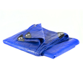 LONA DE POLIETILENO 100 MICRAS AZUL UV 3M X 3M - REXON