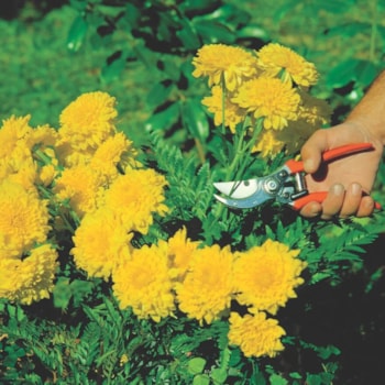 TESOURA DE PODA METÁLICA PROFISSIONAL - 78304511 TRAMONTINA TESOURA DE PODA METÁLICA PROFISSIONAL - 78304511 TRAMONTINA