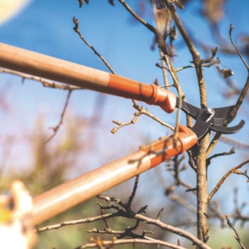 TESOURÃO DE PODA C/ CABO 60CM - 78360505 TRAMONTINA TESOURÃO DE PODA C/ CABO 60CM - 78360505 TRAMONTINA