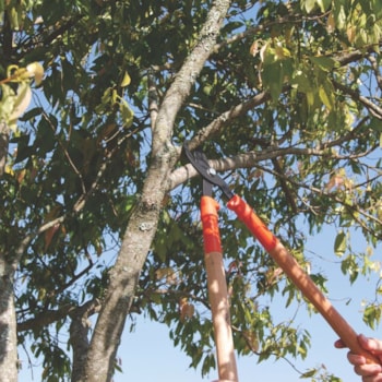 TESOURÃO DE PODA C/ CABO 60CM - 78360505 TRAMONTINA TESOURÃO DE PODA C/ CABO 60CM - 78360505 TRAMONTINA